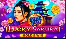 Lucky Sakura – Slot im SpinBetter Casino